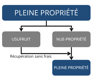 principe-nue-propriete_blue