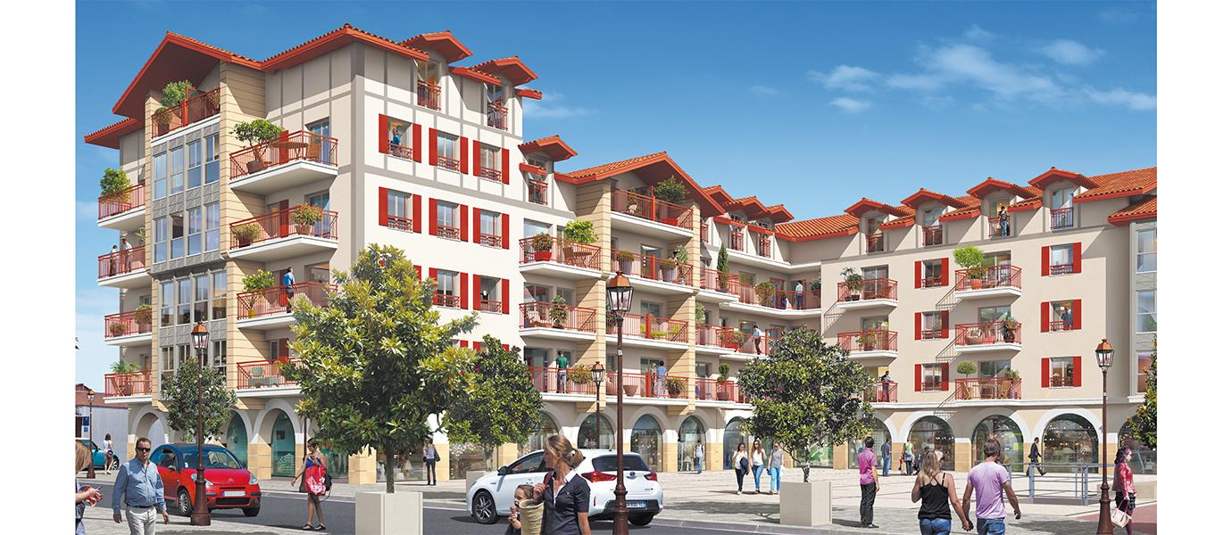 programme-neuf-handaye